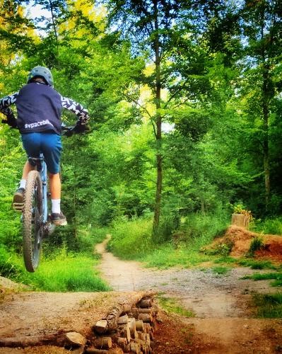 Ein Radfahrer auf dem Stadtwald-Trail.