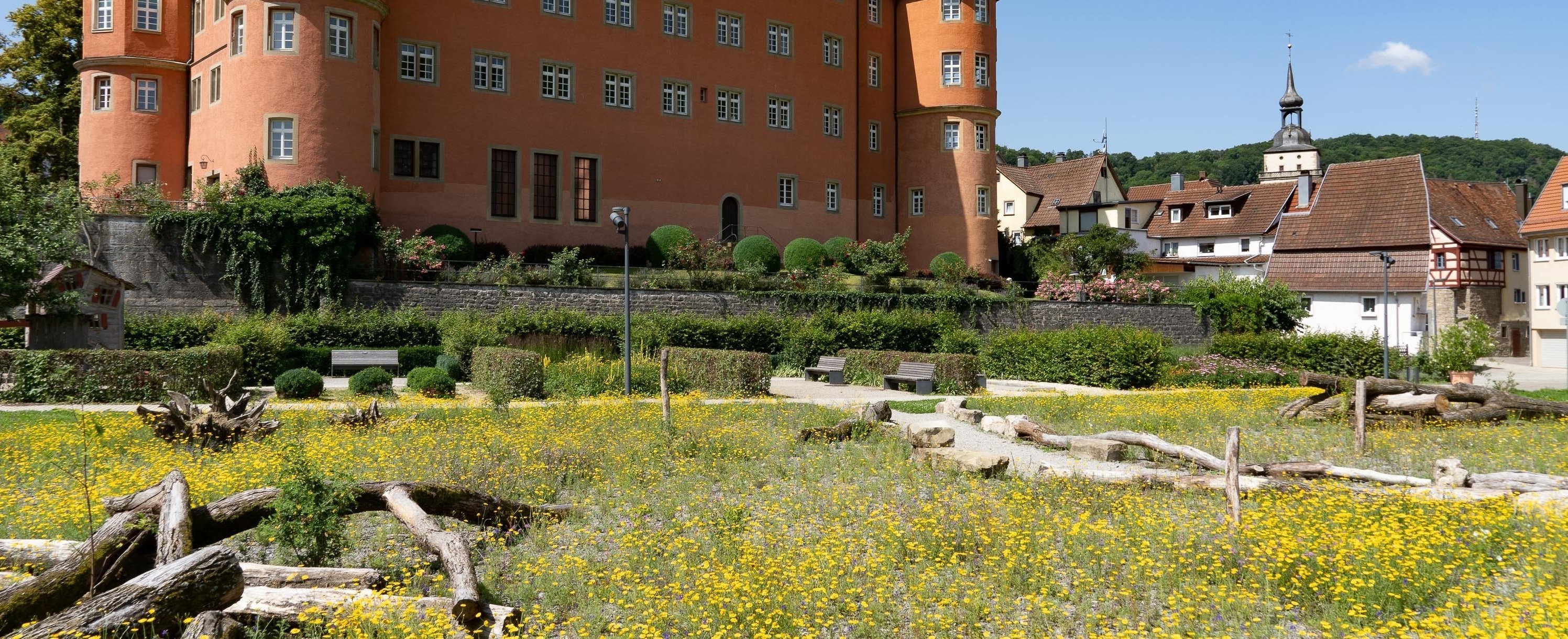 Georg-Wagner-Schule Künzelsau. Foto Olivier Schniepp. Fünf Schüler laufen über einen Schulhof.